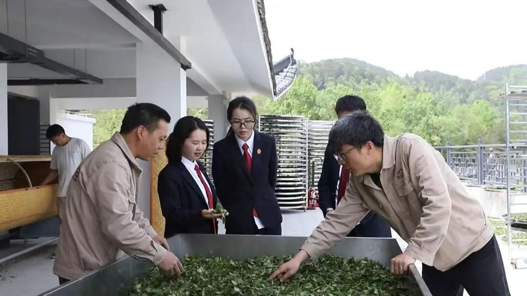 微信图片_20250508101048.jpg